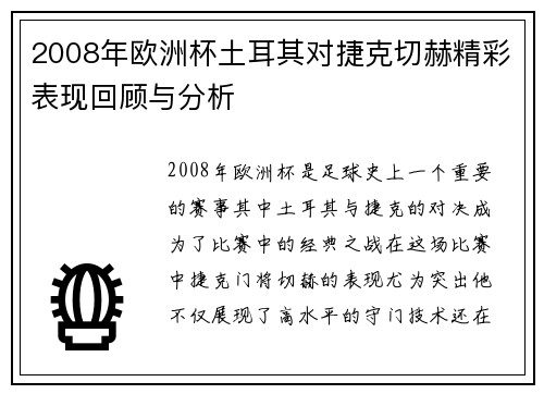 2008年欧洲杯土耳其对捷克切赫精彩表现回顾与分析